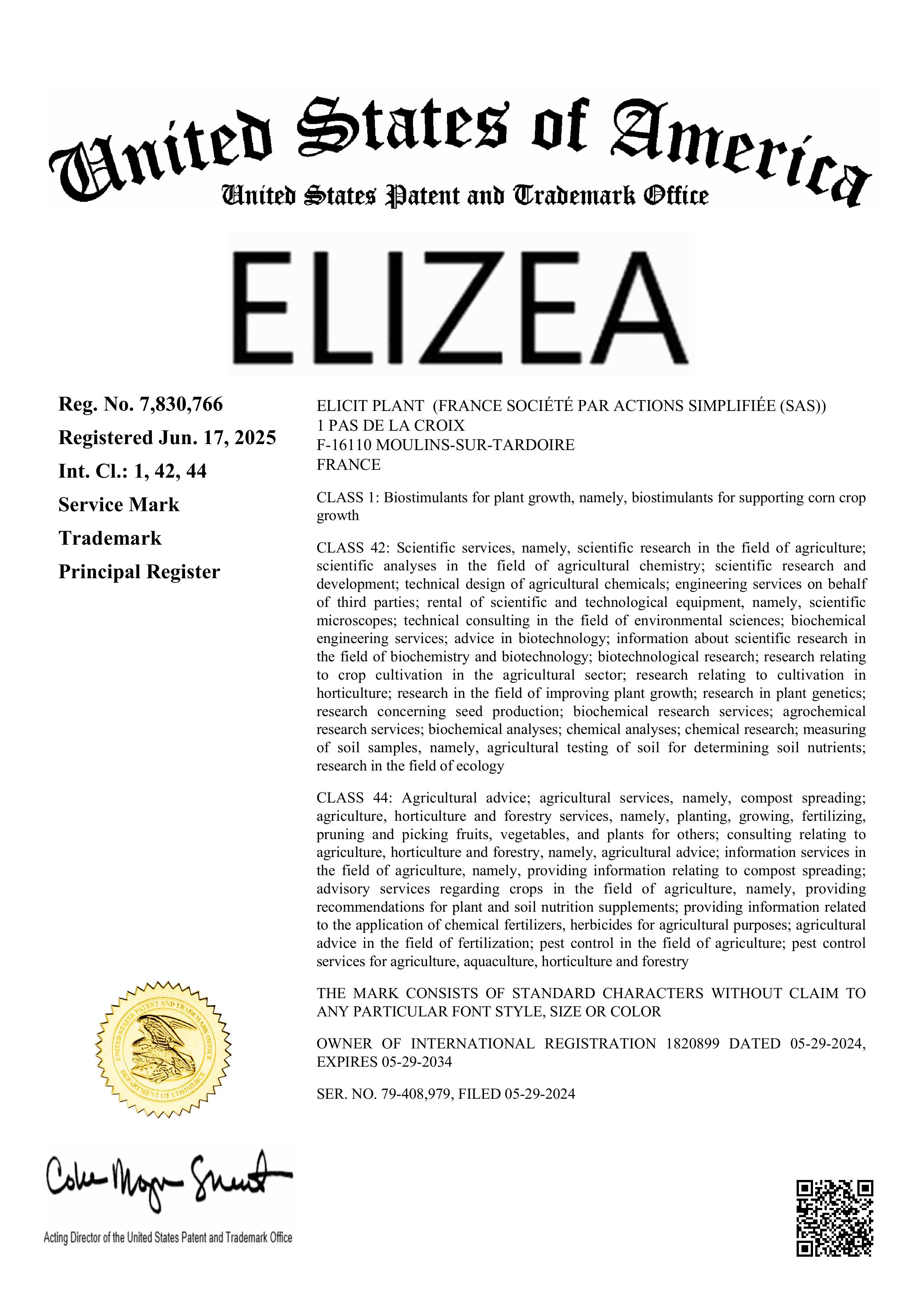 Elizea 